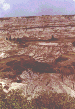 alta-6.gif (49535 bytes)