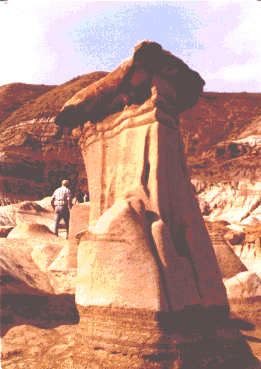 alta.gif (48198 bytes)